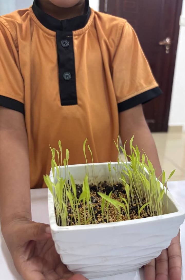 Level 2 learners explore plants and seeds through hands-on science lessons